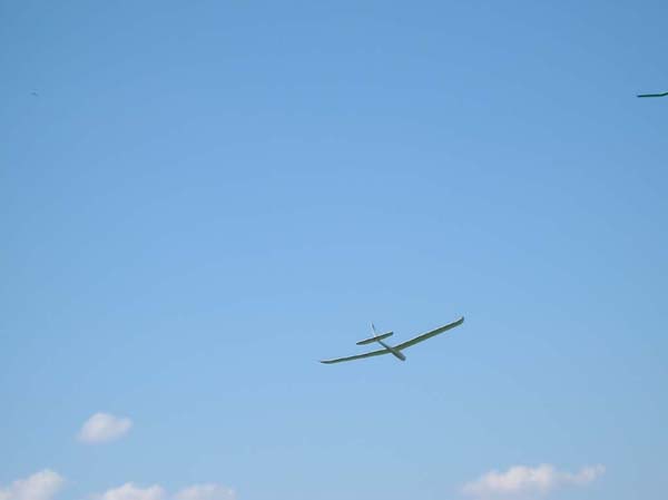 P7130048