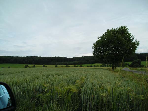 P7060041