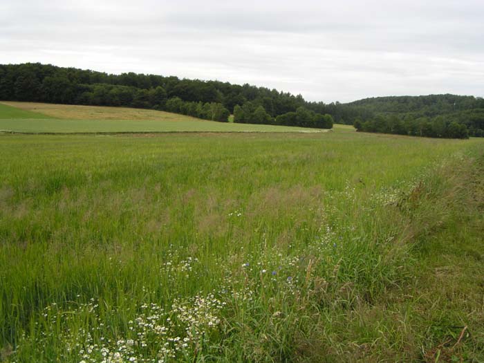 P7060059