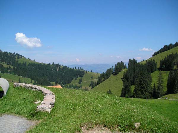 P7140134