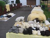 IMG_3562furs
