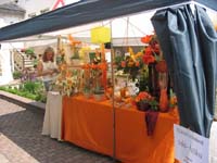 IMG_3580orangedisplay