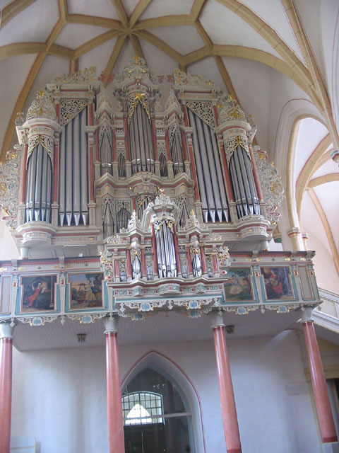IMG_3837organ