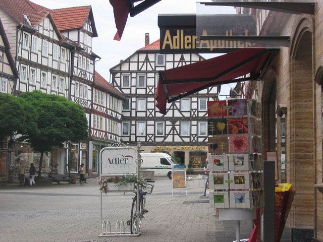 IMG_3859store