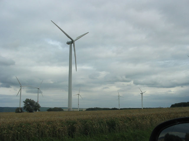 IMG_3905windmills