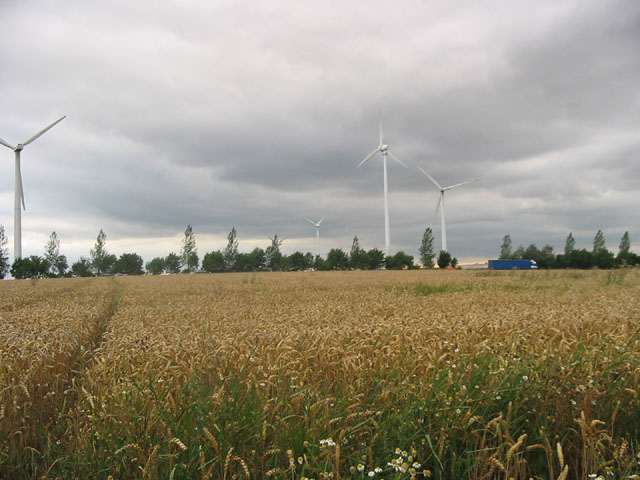IMG_3922windmills