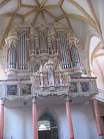 IMG_3837organ