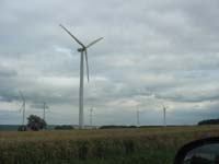 IMG_3905windmills