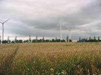 IMG_3922windmills