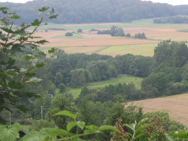 IMG_4294CountrySide