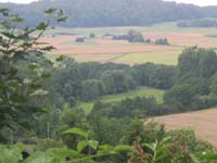 IMG_4294CountrySide
