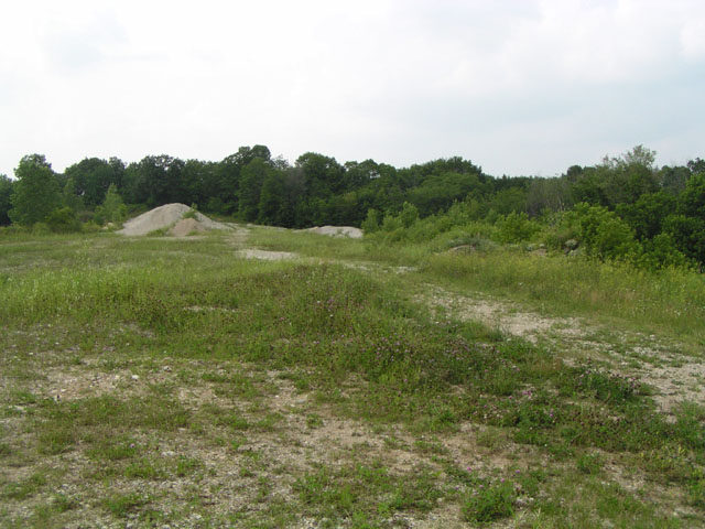 HeinrichFarm9