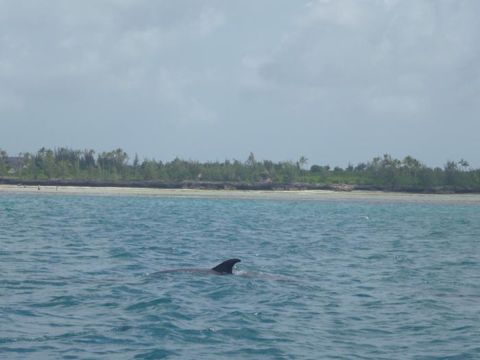 P1020554