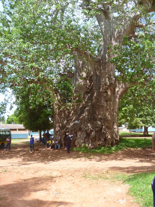 P1020605
