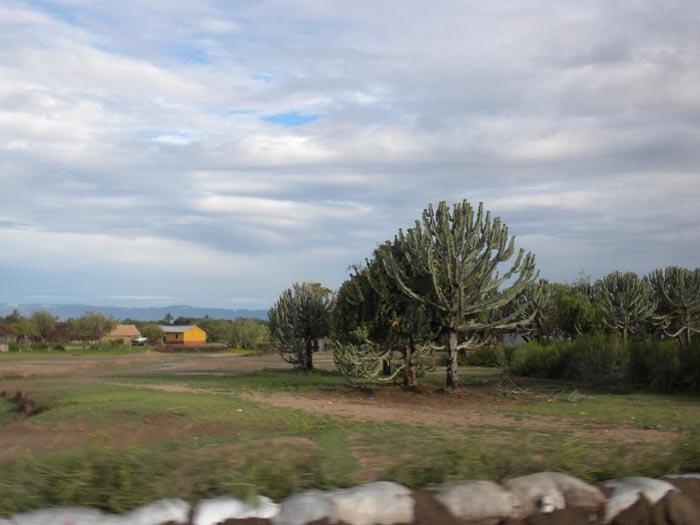 DSCN7432