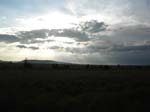 DSCN2335