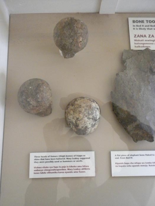 DSCN7239