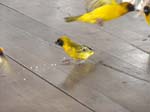 DSCN7274
