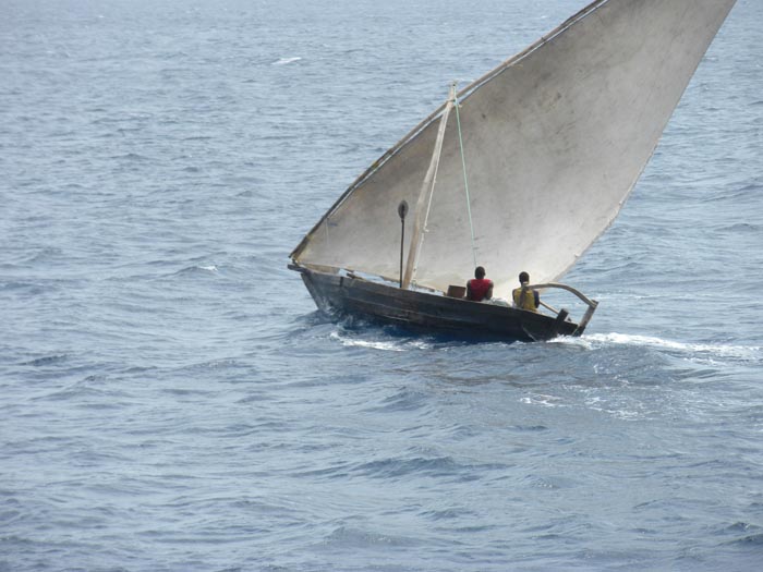 DSCN6027