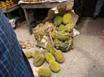 DSCN2145